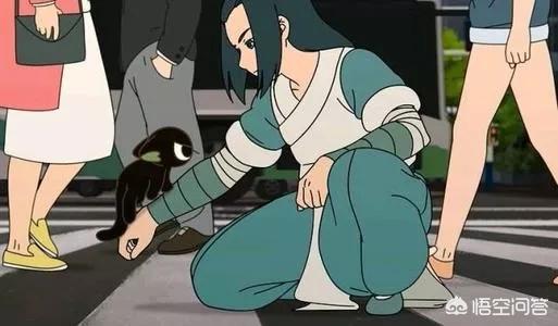 动漫电影《罗小黑战记》为什么评分那么高？
