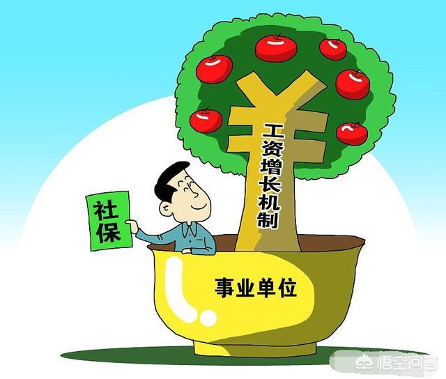 小县城的事业单位，到底是管理岗好还是技术岗好？插图11