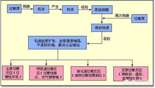 突然过敏怎么办，儿子高中了，突然不能吃肉、喝牛奶等东西，吃了就过敏怎么办啊