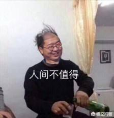 北京宠物殡葬管奇葩大会:如何评价《奇葩说》导师赛？