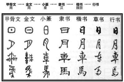 头条问答 信息爆炸 汉字优势尽显 汉语会成为我们领先西方的重要工具吗 229个回答