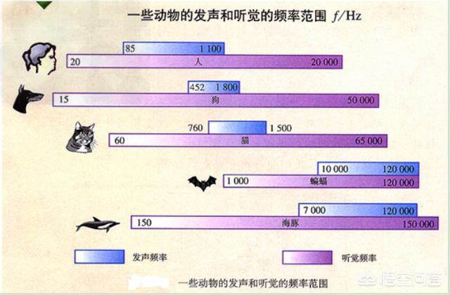 启德机场:律师能在多大程度上影响一个案件的发展