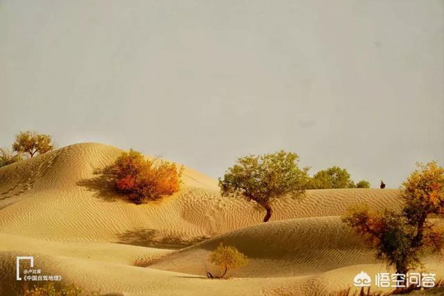 为什么古代总喜欢说攻破楼兰，楼兰究竟是个什么地方？