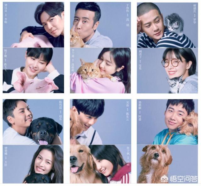 吴磊张子枫:如何评价“吴磊张子枫劈叉抱”？