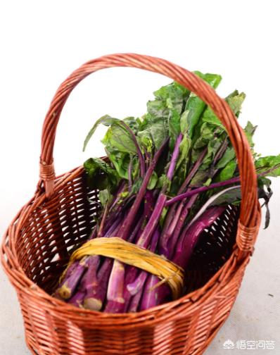 悟空问答 立冬种植红菜苔晚了吗 9个回答