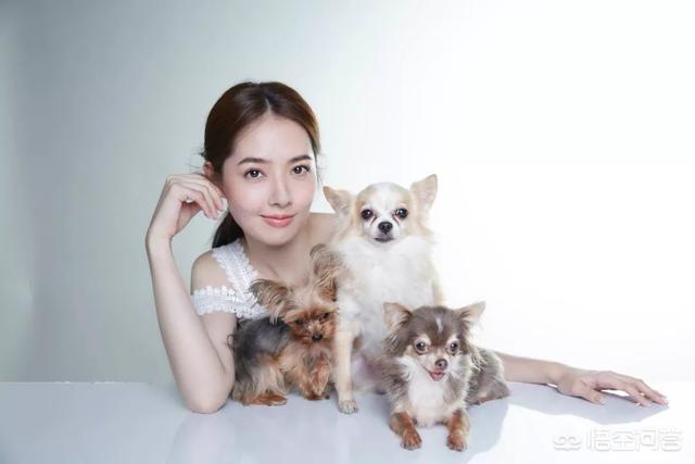 郭碧婷闺蜜是高晓松前妻:怎么看高晓松在直播中被留言辱骂这件事？