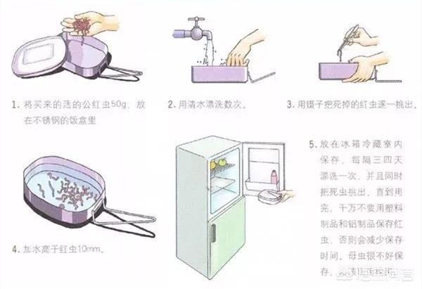 红虫是什么的幼虫,虾池出现红虫是好事还是坏事？