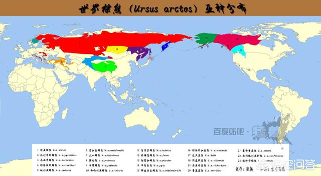 月熊:问，狗熊跟棕熊有什么区别？