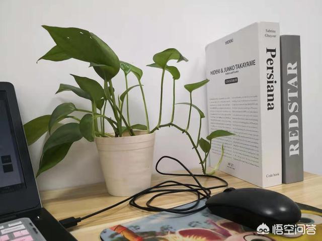 微信原图怎么查看位置:微信发原图是如何泄露位置信息的？是这样吗？