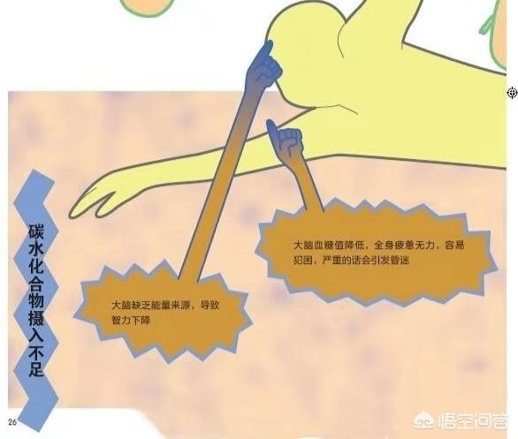 如果把主食换成肉类会怎么样？