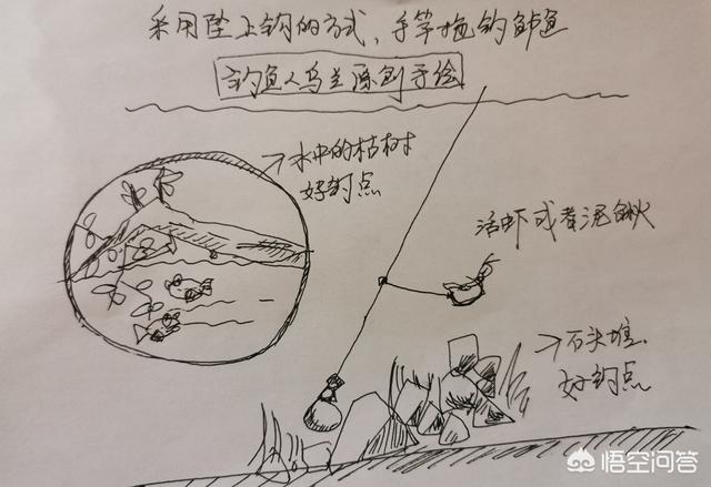 鲈鱼的生活习性:什么季节适合钓鲈鱼？要注意什么？