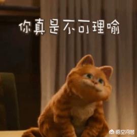 哪种猫有泪痕橘猫还是加菲猫:哪种猫容易有泪痕加菲猫还是橘猫 猫咪有泪痕会瞎吗，猫咪的泪痕能自愈吗？