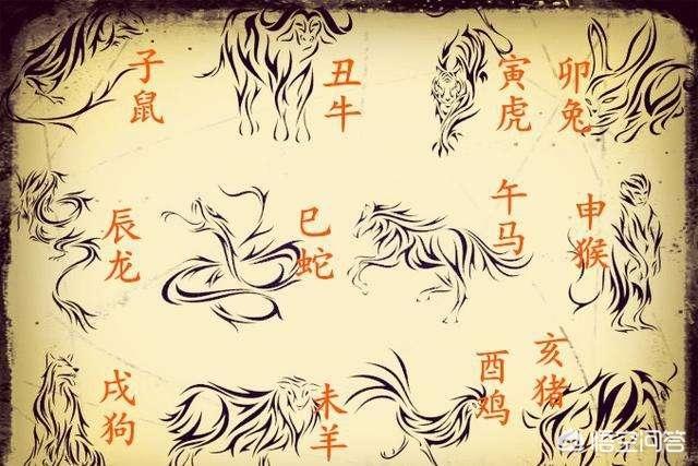 为什么12生肖唯独龙不存在呢？至少我们都没见过,其他的目前都能看到,谁发明的12生肖？