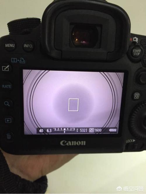 蜂鸟鹰蛾 佳能5d3:5D3如何通过相机屏幕对焦，注意什么？