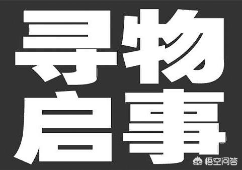 宠物志愿百度网盘:儿子25岁军校本科毕业前途如何？