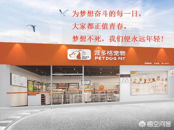 long pets宠物店加盟:宠物店开店手续是什么，加盟要多少钱？