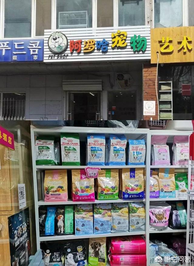 开优爵狗粮加盟店赚得多多:想在淘宝开店有什么建议？