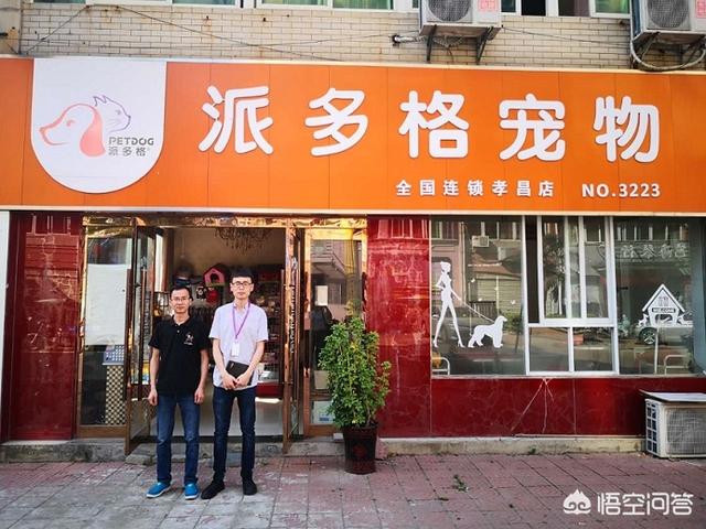 宠物店市场分析定位:宠物店市场分析与项目定位 宠物店的市场竞争大不大呢？
