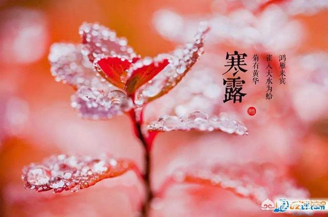 寒露到了，在饮食方面要注意什么？