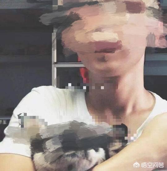 成都大学灵异事件:成都大学党委书记毛洪涛溺水身亡事件调查真相何时面向社会公众？