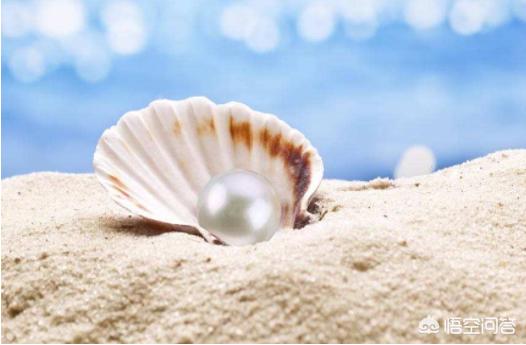 具有养生功效的饰品,高端滋补养生的补品有哪些好选择？