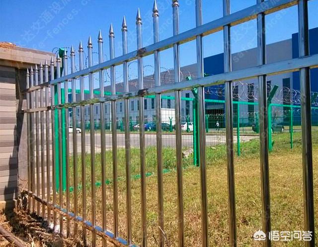 怎么做院子围墙又便宜又好看？插图56