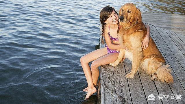 女犬交俱乐部:恶霸犬俱乐部 为什么大多单身女人都喜欢养大型犬？