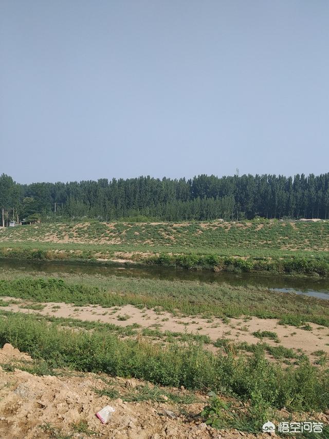 小麦种植,小麦种植耕地应怎样选择？