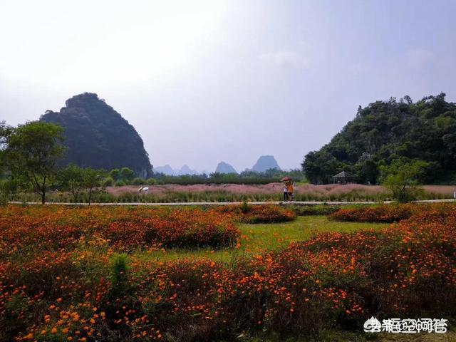 11月份适合去哪里旅游;11月12月适合去哪旅游