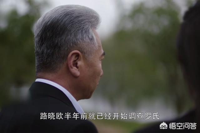 在远方剧情:你们对《在远方》大结局怎么看？