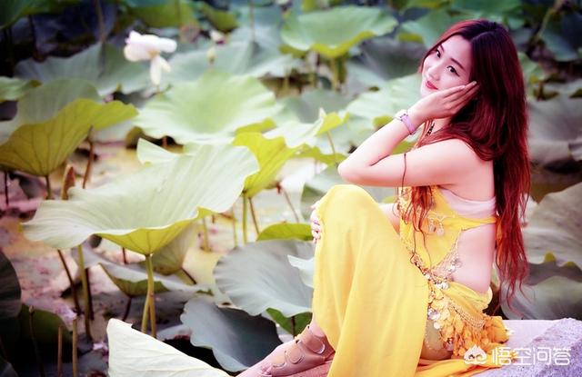 你最喜欢哪一首关于写荷花的诗词,为什么喜欢？