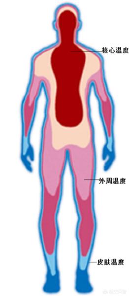 冬天图片:冬天图片唯美 冬天为什么手凉脚凉？传说中的保暖攻略真的有效吗？