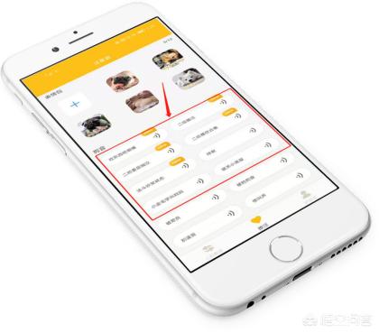 狗语翻译器:谁知道狗狗的翻译器怎么使用啊？