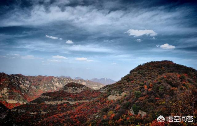 莽山森林公园红叶:深秋季节了，京津冀地区有什么看红叶的好地方吗？