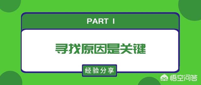 猫咪不乖的作品请:猫咪不乖的所有小说 刚收养的流浪猫越来越不乖了，该怎么办？