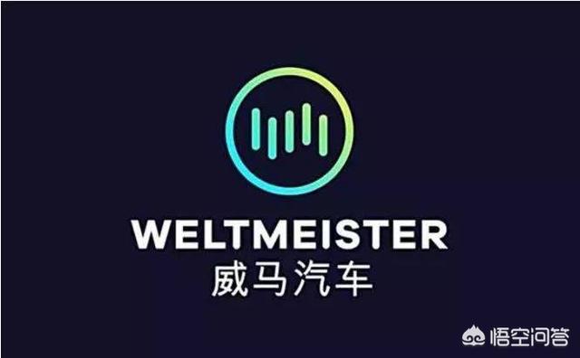 国产的环保电动汽车什么牌子的好呢？