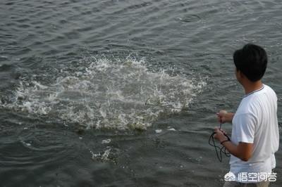 南美水族论坛:虾池里面的水气泡多怎么办？