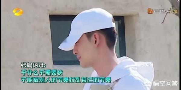 亲爱的客栈3合影:《亲爱的客栈3》张翰是合伙人最佳人选吗