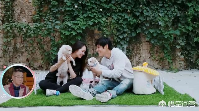 郭碧婷闺蜜是高晓松前妻:怎么看高晓松在直播中被留言辱骂这件事？