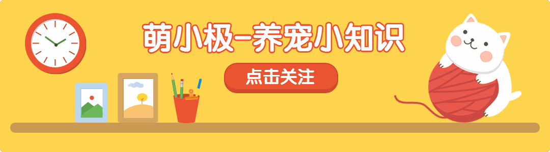 抓猫:主人警告过不能捉猫玩，小孩子捉来玩，且被抓伤，主人要担责吗？