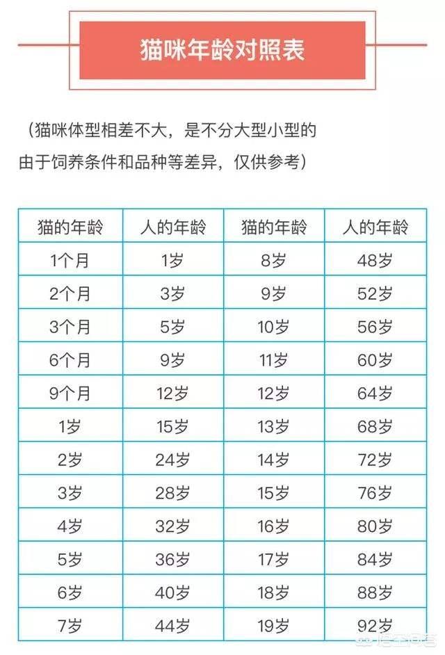 母猫绝育伤口一般多大?:母猫做绝育手术多少钱，多长时间能恢复？ 母猫绝育伤口在哪