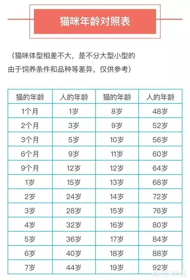 母猫绝育伤口一般多大?:我家的猫是母猫11个月了，该不该带她去做绝育？ 母猫绝育后伤口多久可以好