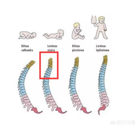 枕头下三不放,手机放在枕头下充电，对身体有没有伤害？