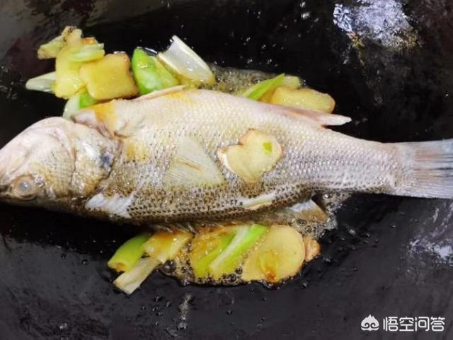 含铁高的海鱼有哪些:最好吃的海鱼排行榜前十名 为什么说海鲈是营养价值最高的鱼类？