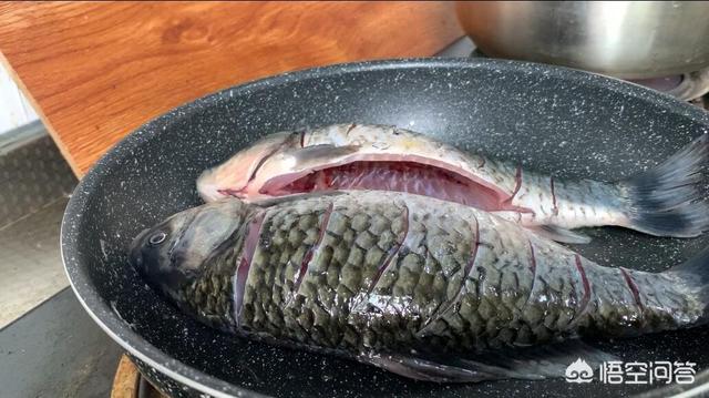 炖鱼时不能放哪两种调料，一些大厨做红烧的鱼可以放姜不放什么大蒜子，有什么依据吗？