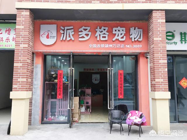 2016最新宠物店投资创业方案:宠物店投资创业方案 加盟宠物店需要多少钱，理性制定规划？