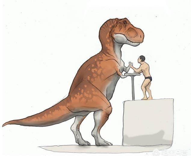 霸王龙前面的小爪子是干嘛的(霸王龙前面的小爪干嘛的)