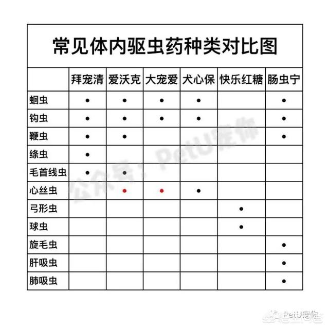 猫吃拜耳驱虫药洗澡:想养流浪猫咪，给它洗澡要注意什么？ ？