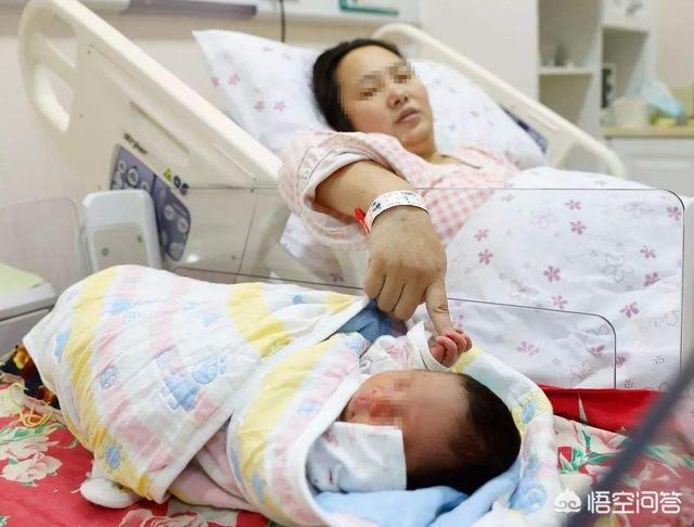 李白撒贝宁的老婆:撒贝宁当爹，喜获双胞胎，关于宝妈的产后护理，该注意什么？