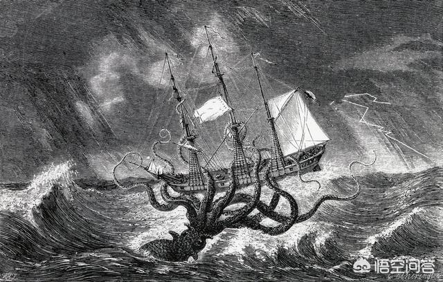 大王乌贼可以长到多大?历史上真有80米长的乌贼吗?